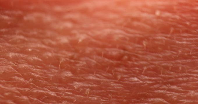 Close up image of human skin