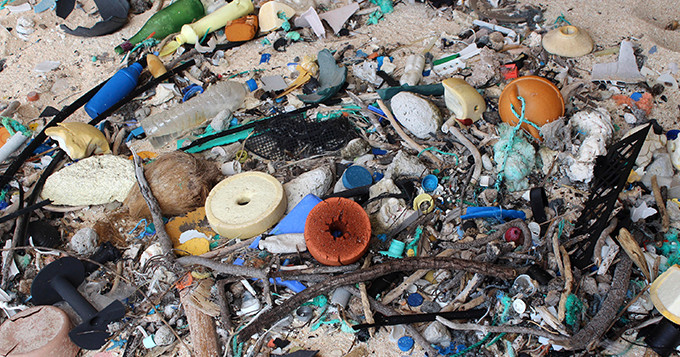 Garbage on East Beach, Henderson Island. Credit: Jennifer Laver