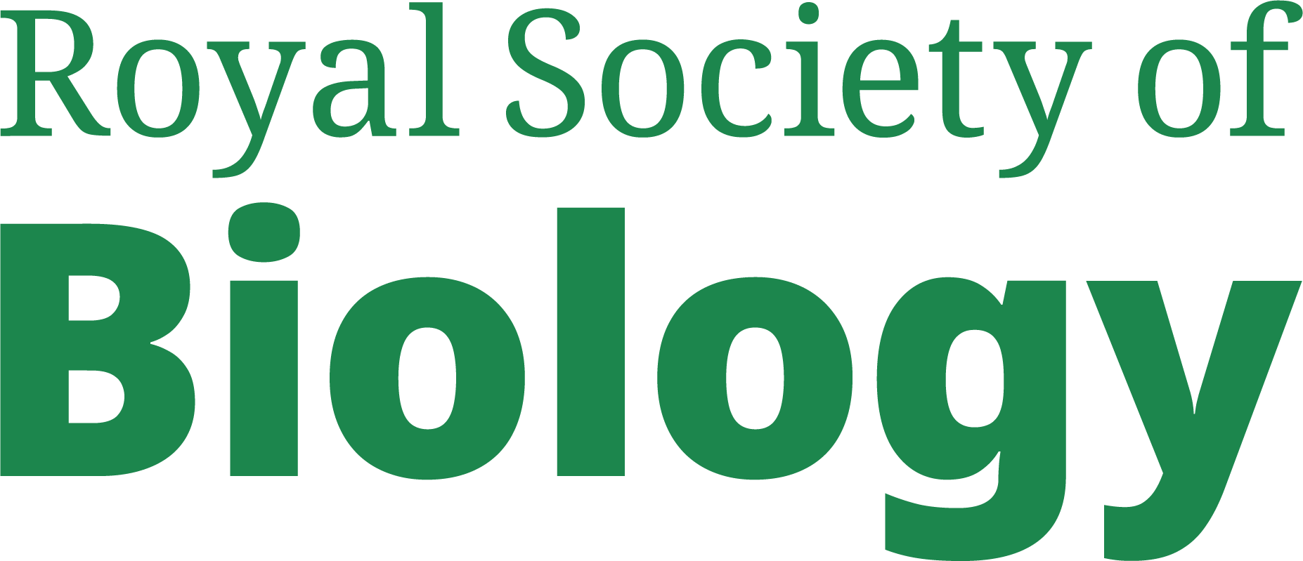 RSB Logo