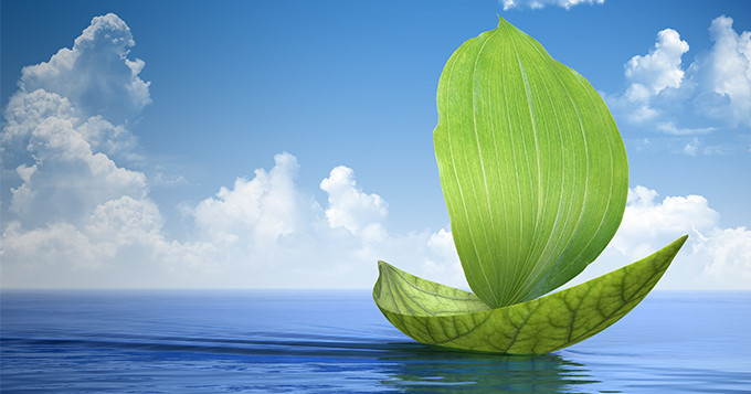 Leaf boat sailing in the ocean