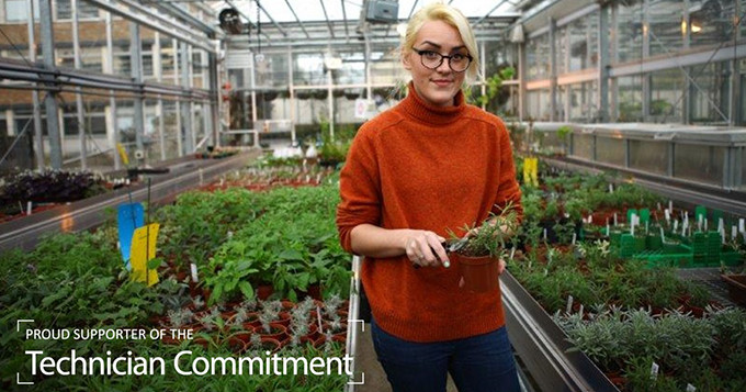 Horticulture technician standing in a greenhouse