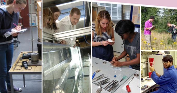 Students undertaking various activities at their placement