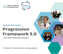 D&I progression Framework 3.0